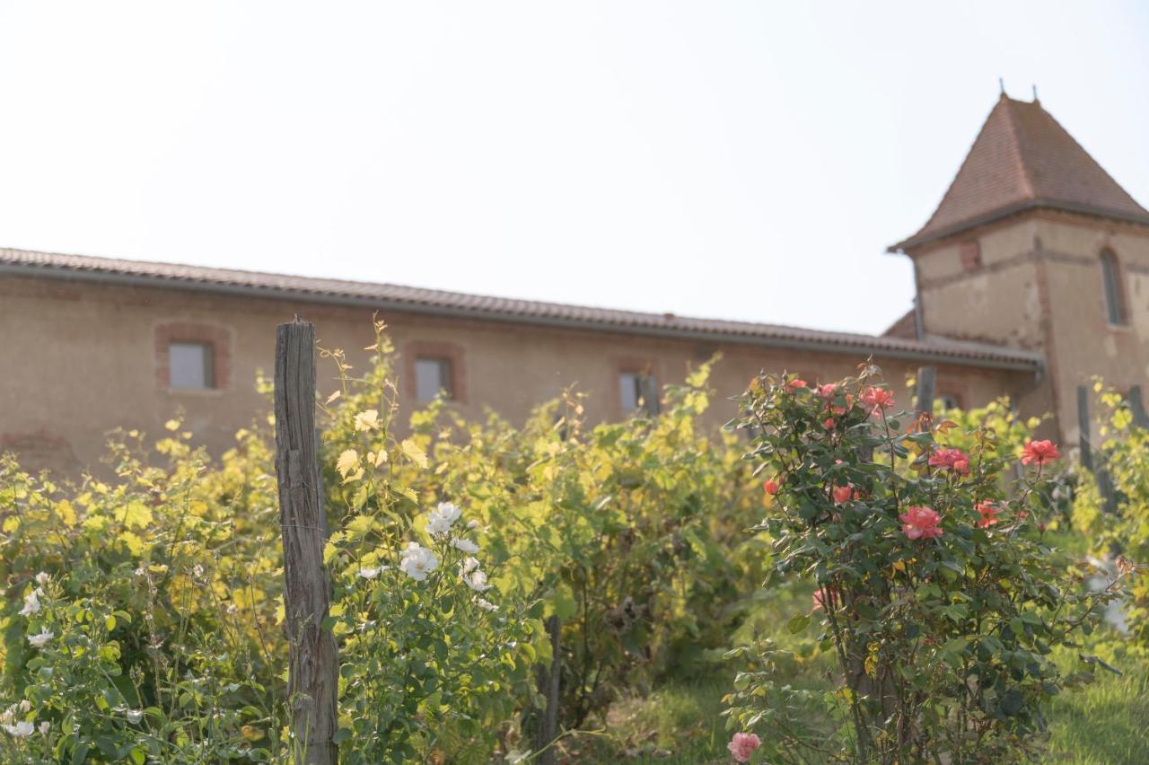 Hotel Escons Domaine De Charme Saint-Sulpice-sur-Leze Zewnętrze zdjęcie